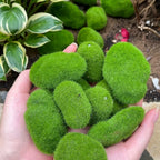 Artificial Foam Moss Stones – Decorative Green Rocks for Micro Landscapes