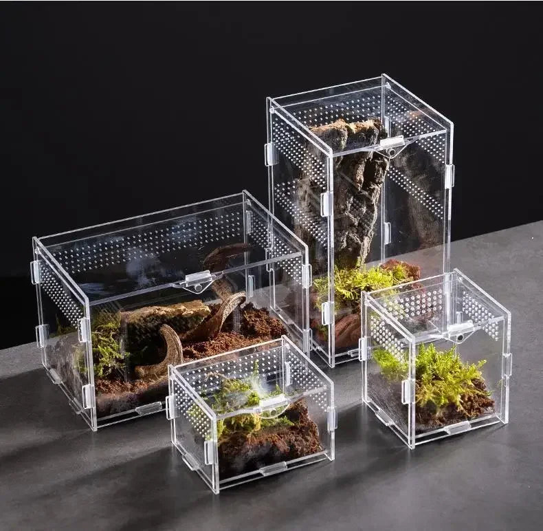 Acrylic Reptile Terrarium – Nano Arboreal Enclosure for Spiders and Insects