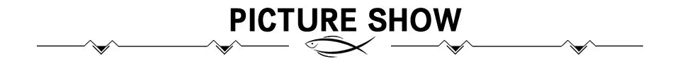 Artificial Fruit Squid Boilies – Sinking Carp Bait for Fishing Enthusiasts
