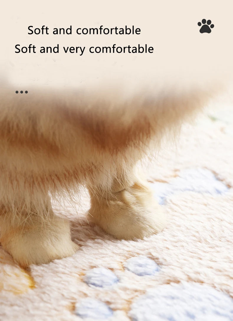Pet Blanket – Coral Velvet Soft All-Season Pad for Dogs and Cats
