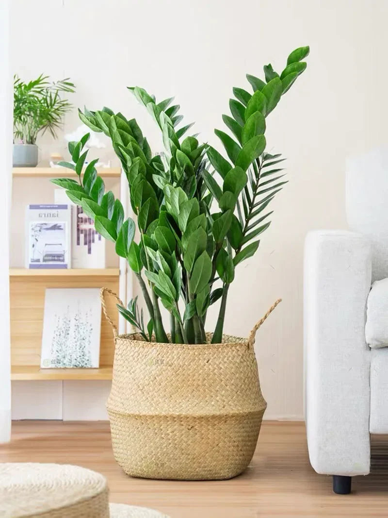 51in Artificial Ficus Tree – Large Plastic Banyan Plant for Home Decor