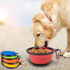 Portable Silicone Folding Dog Bowl – Travel Food and Water for Outdoor