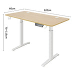 Electric Height Adjustable Desk – Ergonomic Workstation for Home Office