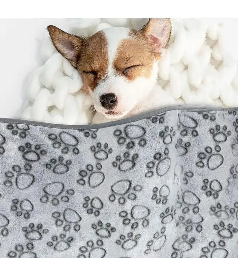 Soft Fluffy Pet Blanket – Cartoon Paw Print for Dogs and Cats