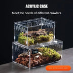 Acrylic Reptile Terrarium – Nano Arboreal Enclosure for Spiders and Insects