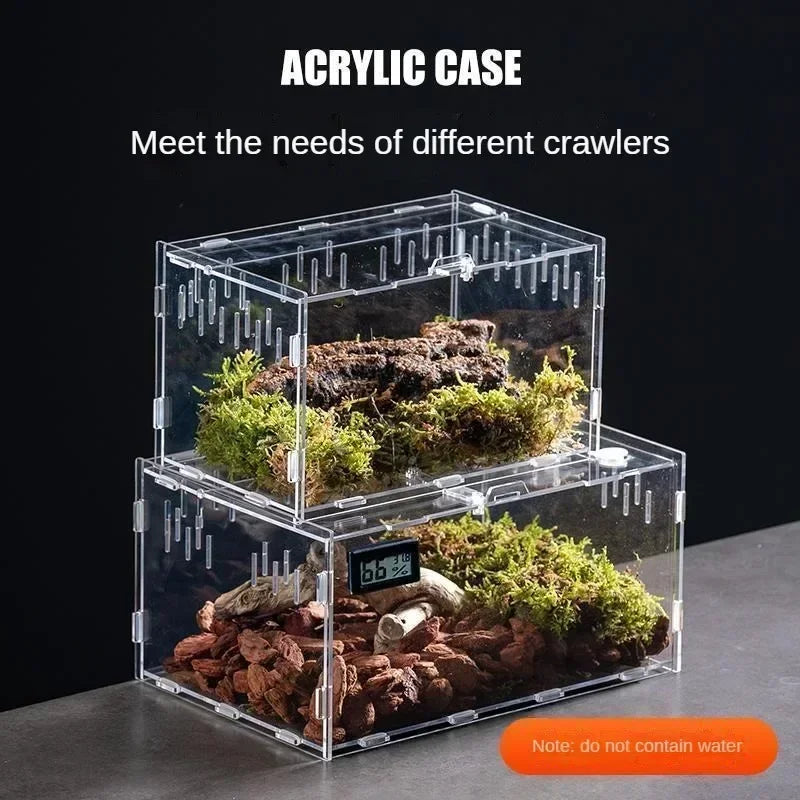 Acrylic Reptile Terrarium – Nano Arboreal Enclosure for Spiders and Insects