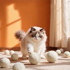 Silent Wool Cat Ball – Durable Interactive Toy for Boredom Relief and Chasing