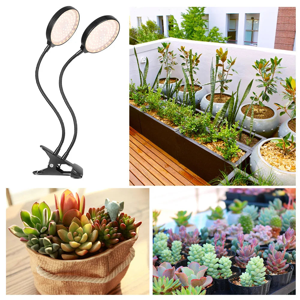 Dimmable LED Plant Grow Light – Full Spectrum Phyto Lamp for Indoor Gardening