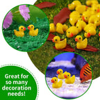 Miniature Resin Duck Figurines – Tiny Animal Charms for Micro Landscapes