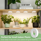 Full Spectrum Halo LED Grow Light – Dimmable Timer Lamp for Indoor Plants