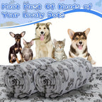 Soft Cartoon Pet Blanket – Fluffy Warm Mat for Cats and Dogs