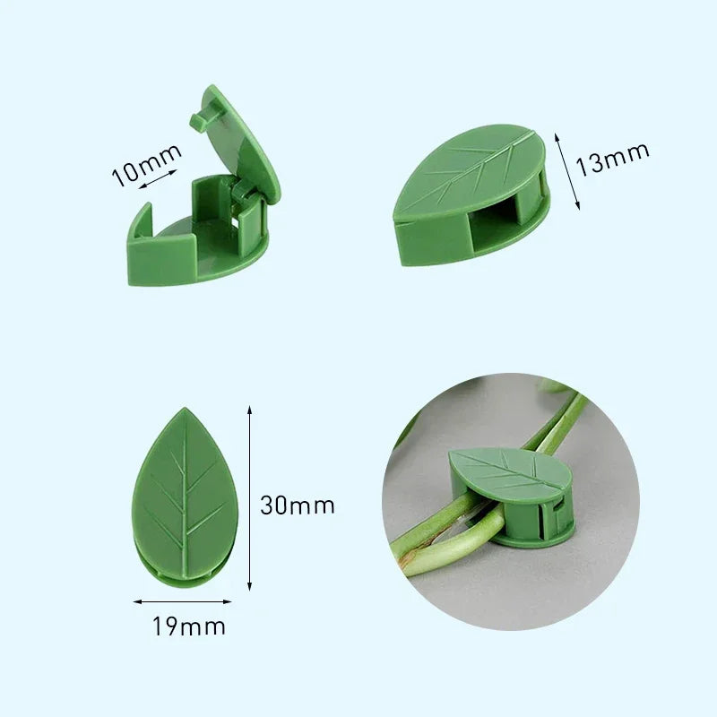Self-Adhesive Vine Clips – Invisible Plant Climbing Wall Fixture for Garden