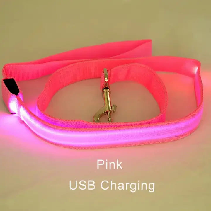 LED Flashing Dog Leash – Luminous Safety Rope for Night Walking