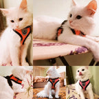 Adjustable Mesh Cat and Dog Harness with Leash – Breathable for Small Pets