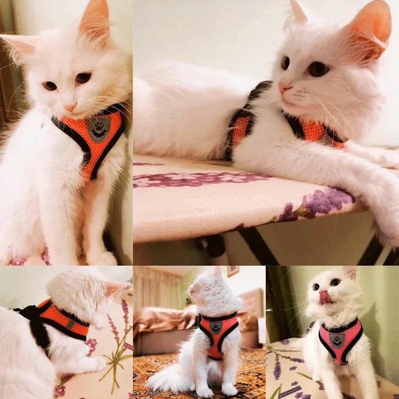 Adjustable Mesh Cat and Dog Harness with Leash – Breathable for Small Pets