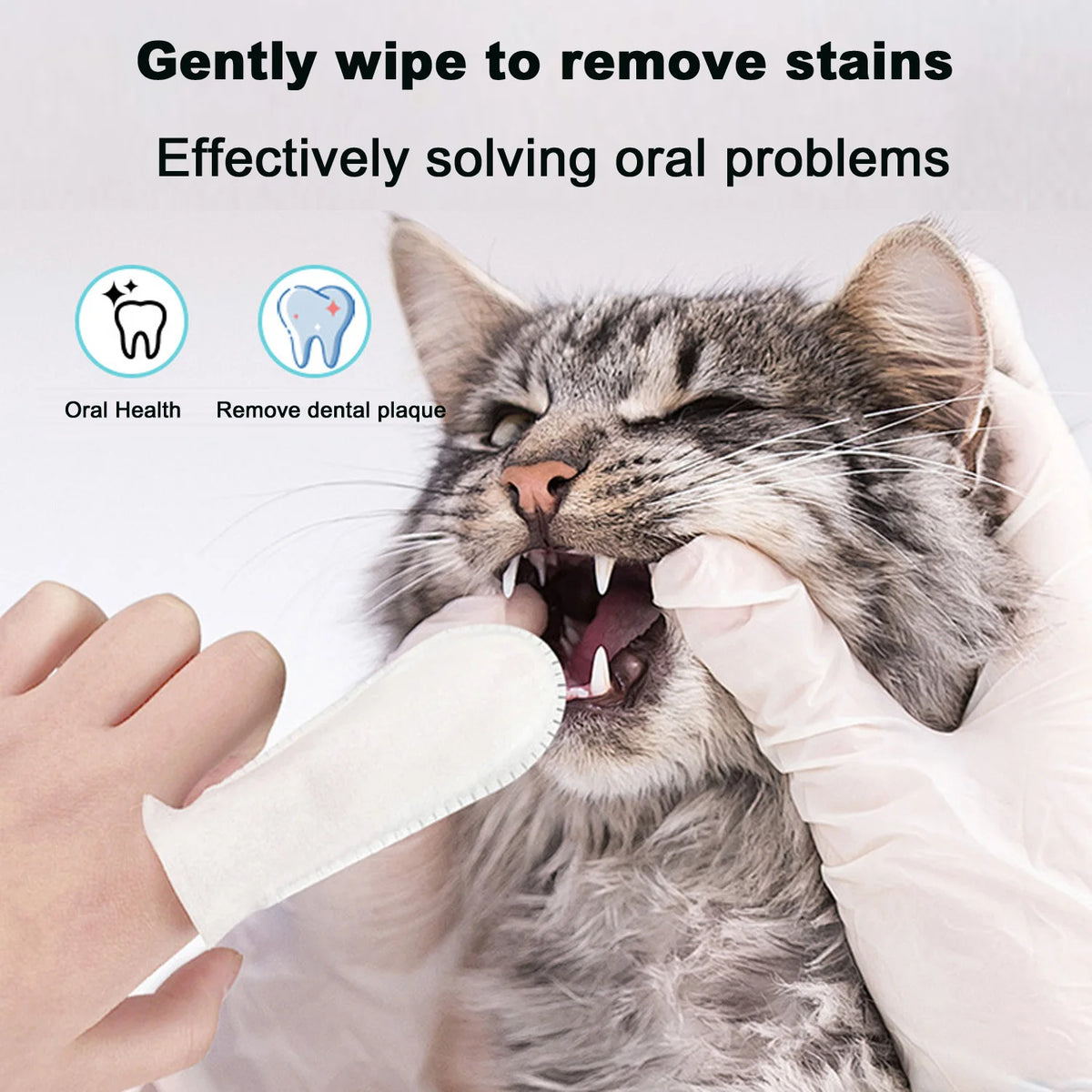 Dental Finger Wipes – Plaque Control for Dog and Cat Oral Hygiene