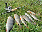 Luminous Rubber Worm Baits – 35mm Soft Swimbait for Freshwater Bass Fishing