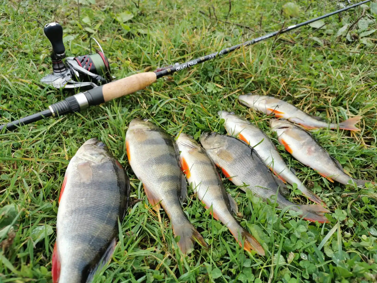 Luminous Rubber Worm Baits – 35mm Soft Swimbait for Freshwater Bass Fishing
