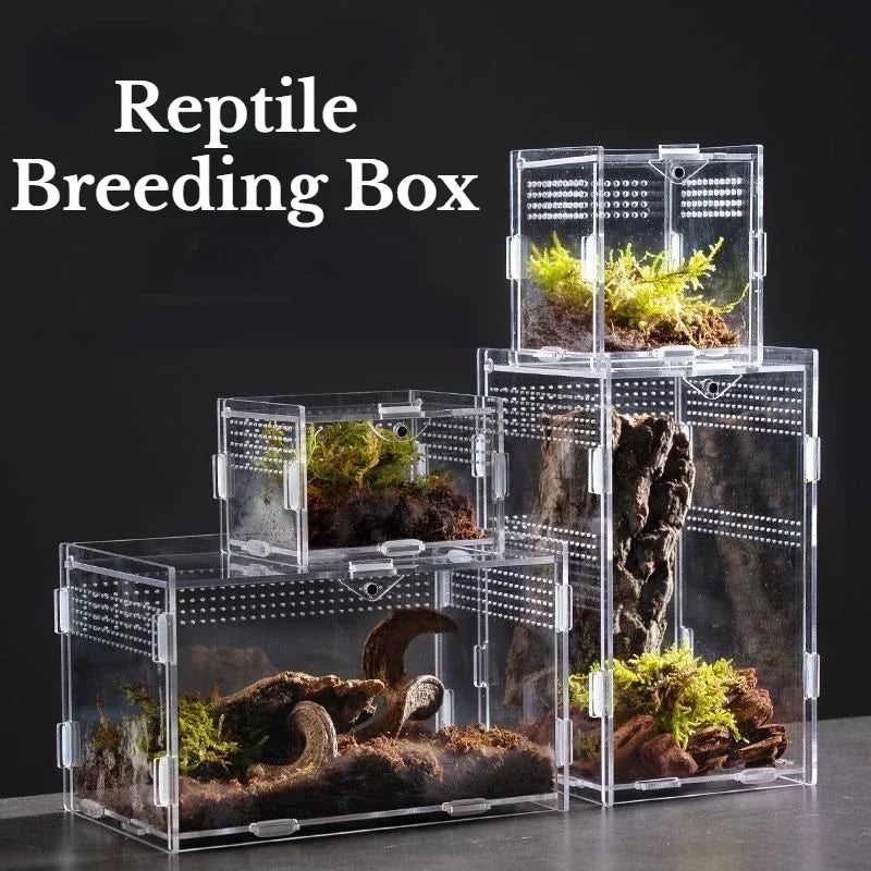 Acrylic Reptile Terrarium – Nano Arboreal Enclosure for Spiders and Insects