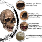 Full Head Skull Mask – Realistic Moveable Jaw for Halloween Cosplay