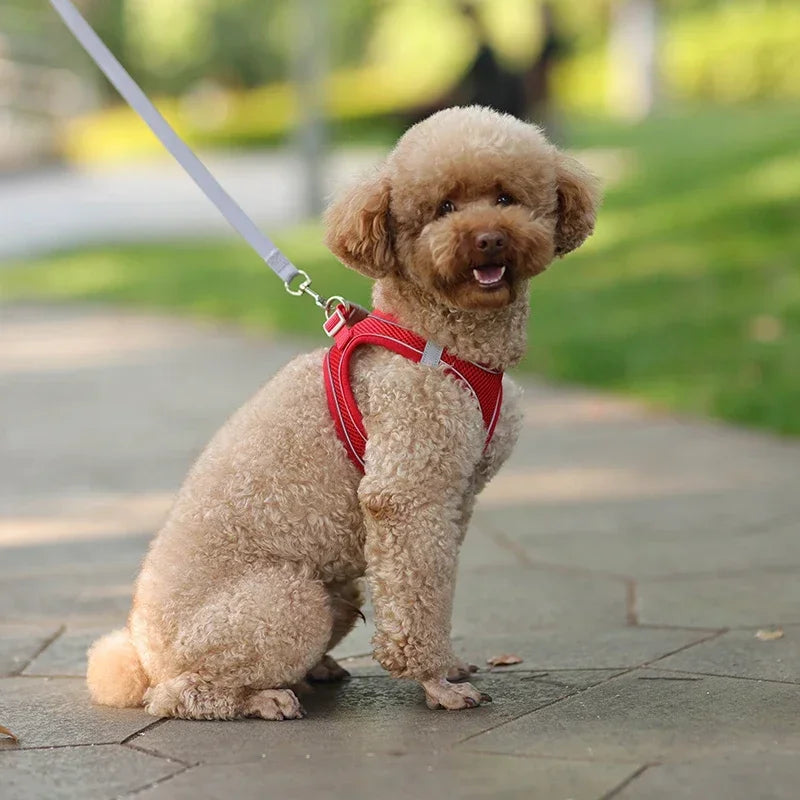 Adjustable Puppy Harness Vest – Comfortable Pet Supplies for Small Dogs