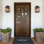 Non-Slip Floor Mat – Decorative Rug for Living Room Entrance and Hallway