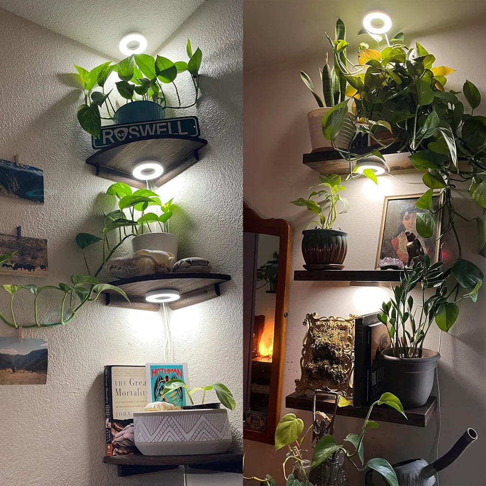 Full Spectrum Halo LED Grow Light – Dimmable Timer Lamp for Indoor Plants