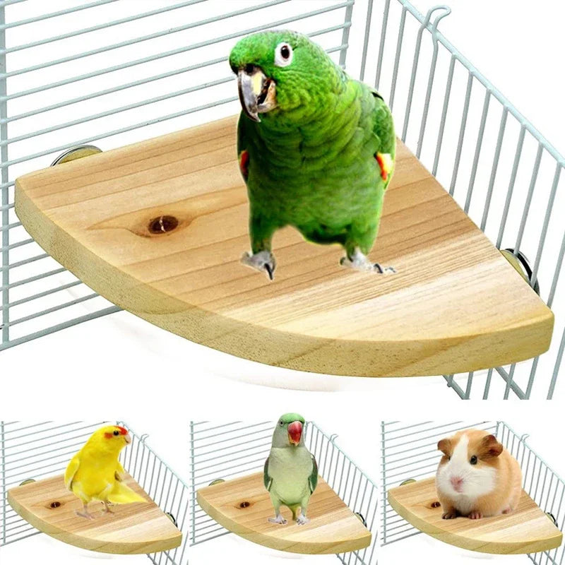 Wooden Fan-Shaped Bird Perch – Natural Stand for Parrot and Small Pets