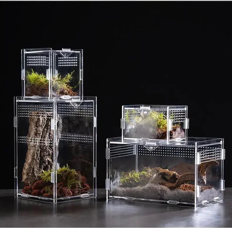 Acrylic Reptile Terrarium – Nano Arboreal Enclosure for Spiders and Insects