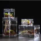 Acrylic Reptile Terrarium – Nano Arboreal Enclosure for Spiders and Insects