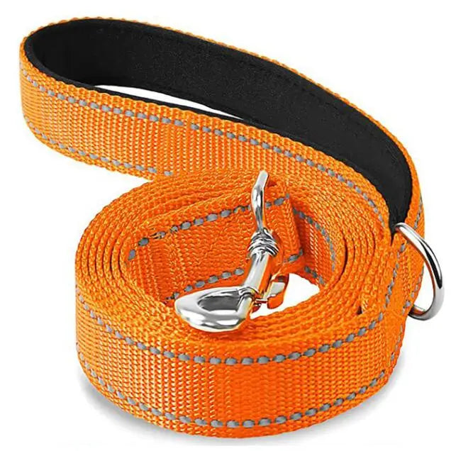 Reflective Pet Training Leash – Adjustable Safety Rope for Dog Walking