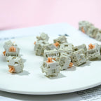 Holy Panda V2 Tactile Mechanical Switches – POM Hot-Swap for Custom Keyboards