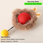 Interactive Rolling Cat Ball – Rechargeable Smart Toy for Pet Exercise