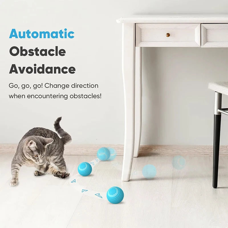 Interactive Automatic Cat Ball – Smart Motion Sensor Toy for Indoor Pet Play