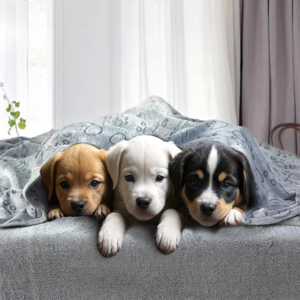 Ultra-Soft Paw Print Dog Blanket – Cozy Fleece Mat for Pets