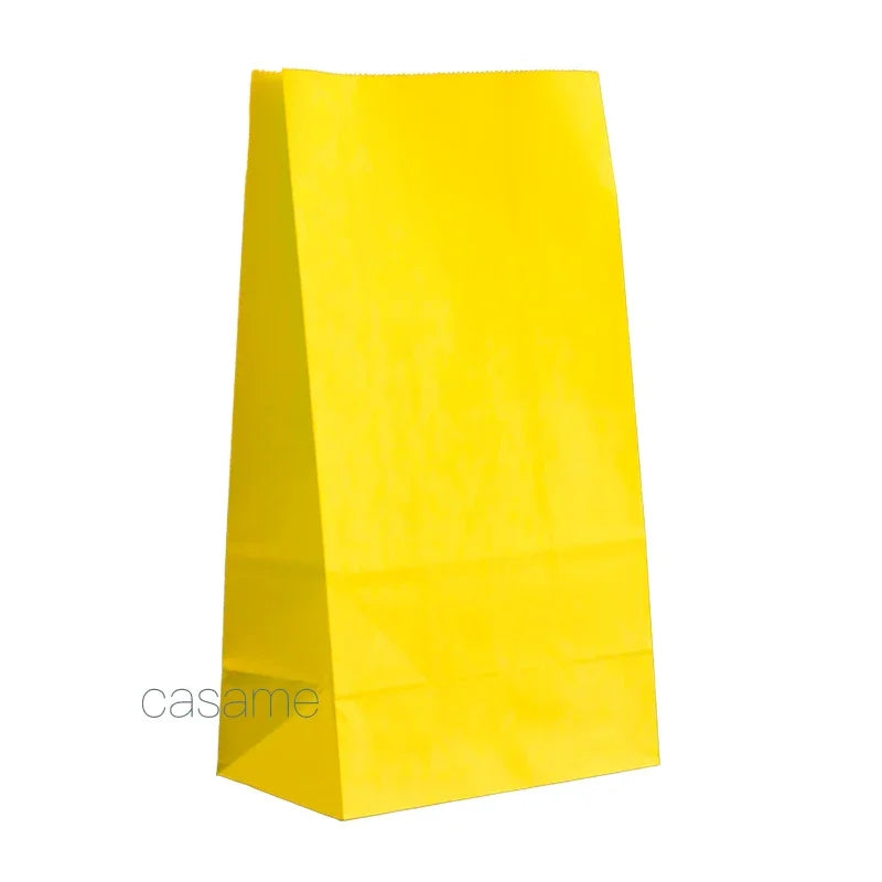 Paper Gift Bags – Small Colored Treat Sacks for Birthday Party Favors