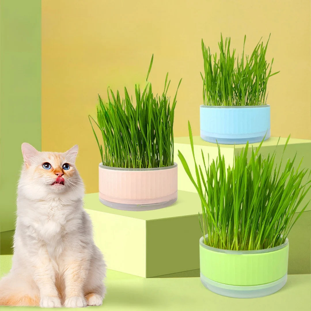 Plastic Cat Grass Planter – Convenient Pet Pot for Indoor Gardening