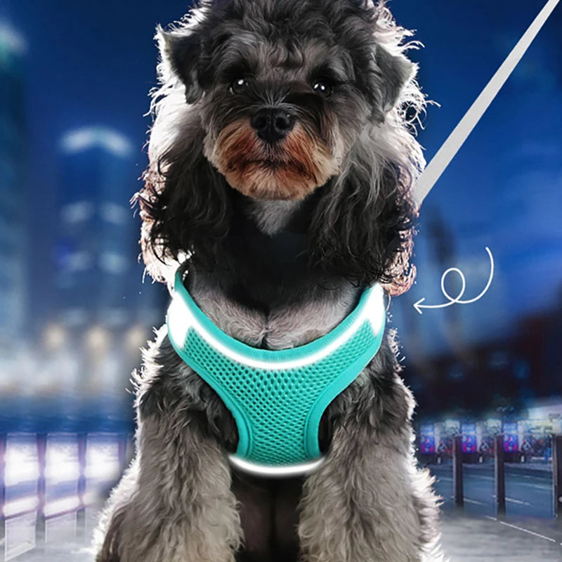 Reflective Breathable Dog Harness Vest – Adjustable for Outdoor Walking