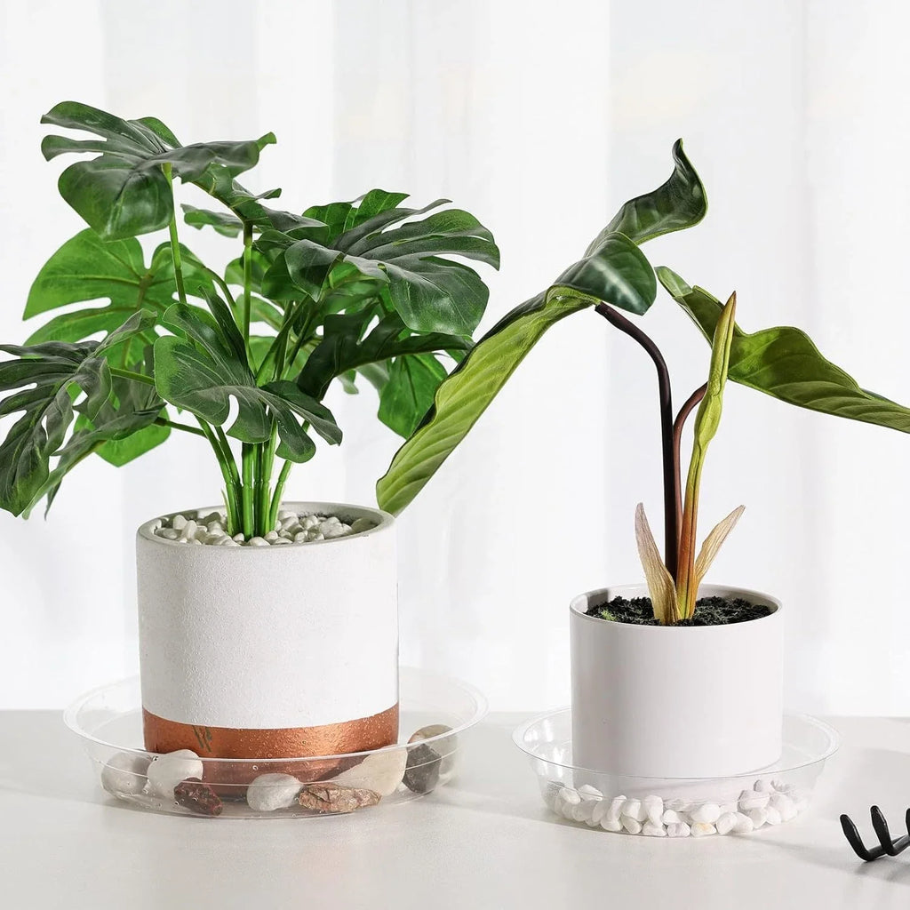 Clear Plastic Plant Drip Trays – Sturdy Round Saucers for Indoor Outdoor Pots
