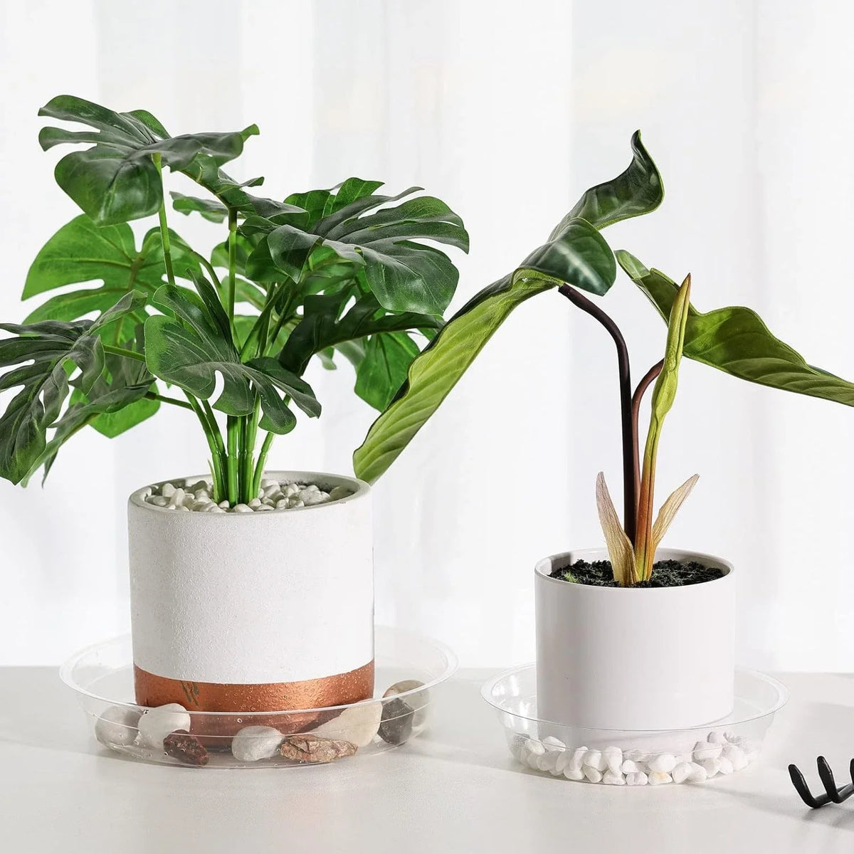 Clear Plastic Plant Drip Trays – Sturdy Round Saucers for Indoor Outdoor Pots