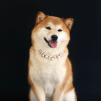 Rhinestone Pearl Pet Collar – Jeweled Dog and Cat Necklace for Weddings