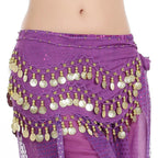 Purple belly dance hip scarf with gold coins and sequin accents