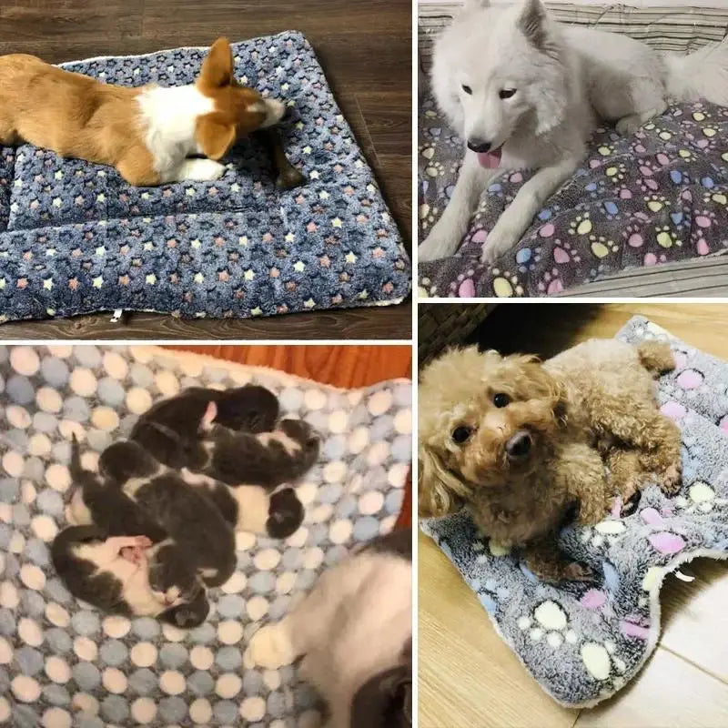 Fleece Pet Sleeping Mat – Warm Bear Pattern Blanket for Dogs and Cats