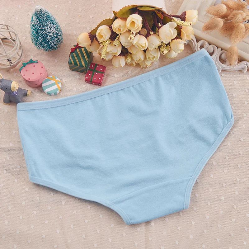Cotton Brief Panties – Plus Size Women's Sexy Underwear for Daily Comfort