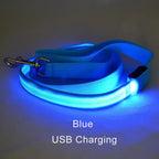 LED Flashing Dog Leash – Luminous Safety Rope for Night Walking
