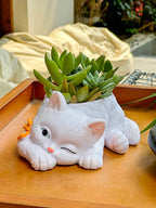 Ceramic Cat Succulent Planter – Decorative Desktop Pot for Home Office