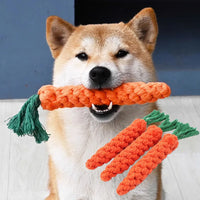 Braided Carrot Cotton Rope – Durable Molar Chew Toy for Puppy Teeth Cleaning