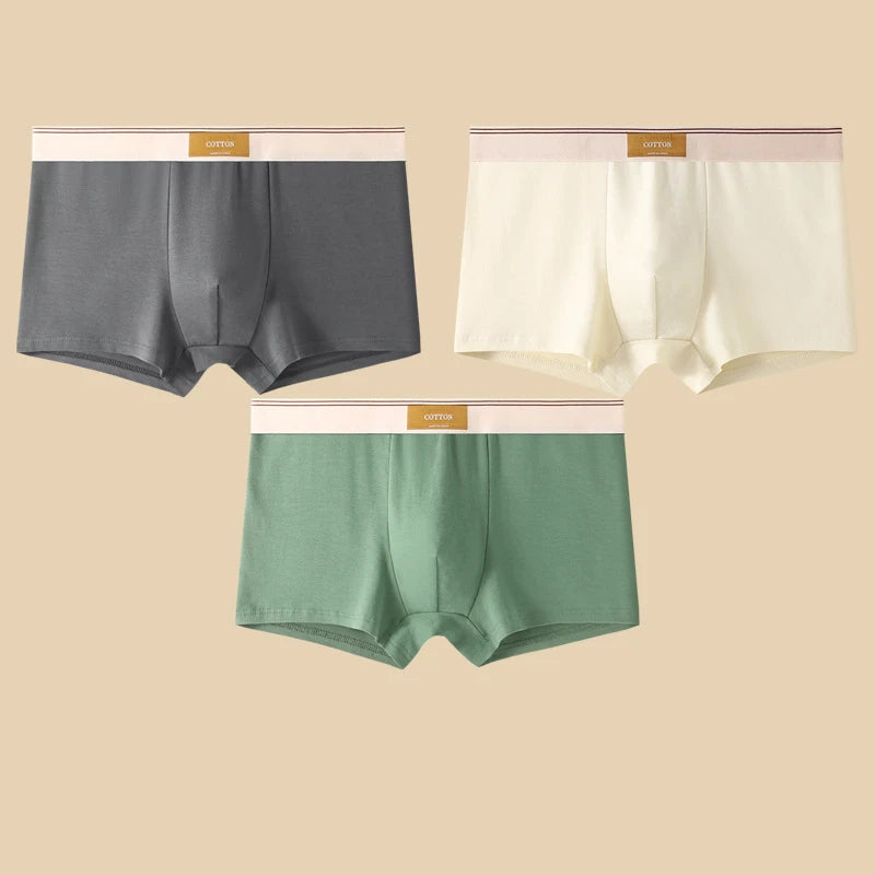 Cotton Boxer Briefs – Breathable Men’s Underwear for Everyday Comfort