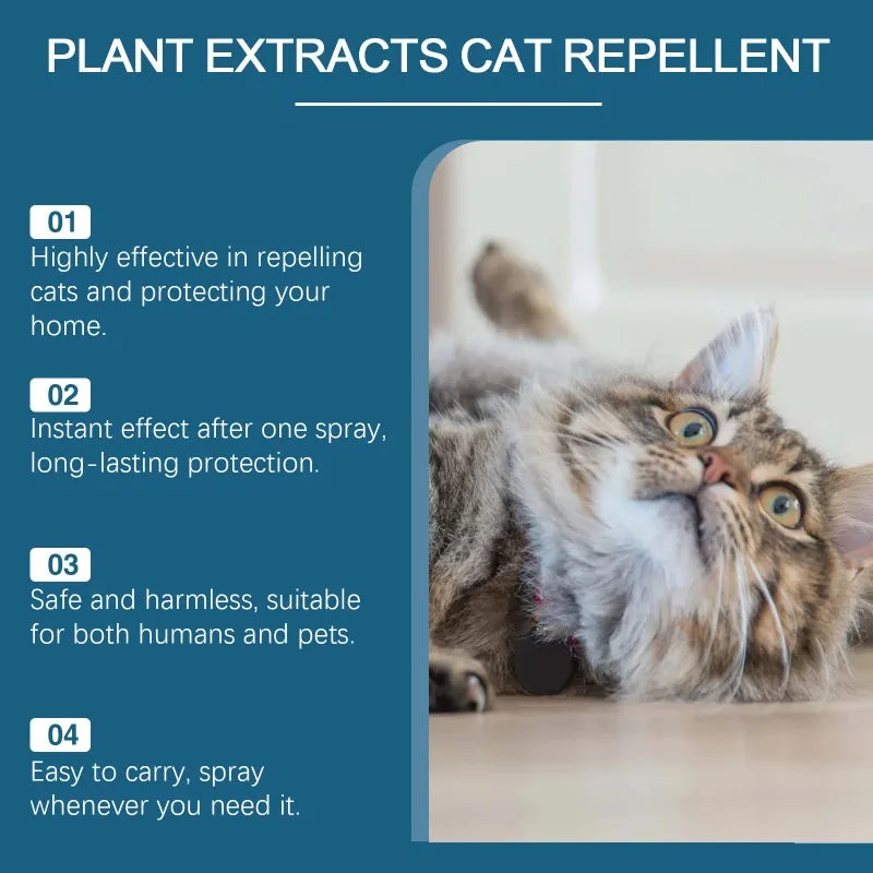 Indoor Cat Repellent Spray – Natural Deterrent for Protecting Home Furniture
