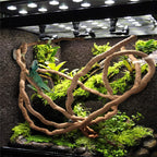 Flexible Rattan Jungle Vines – Bendable Habitat Decor for Reptile Terrariums